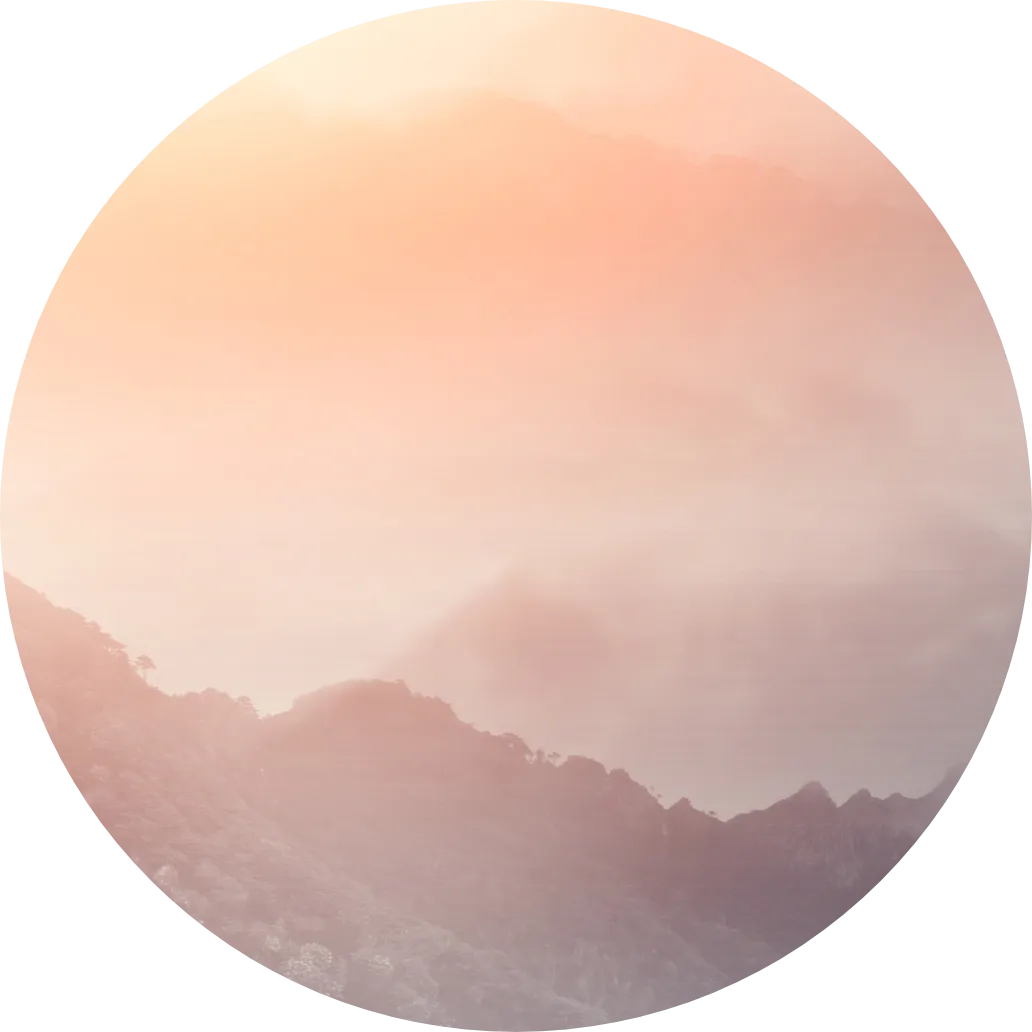 安心たっぷりモチふわコース